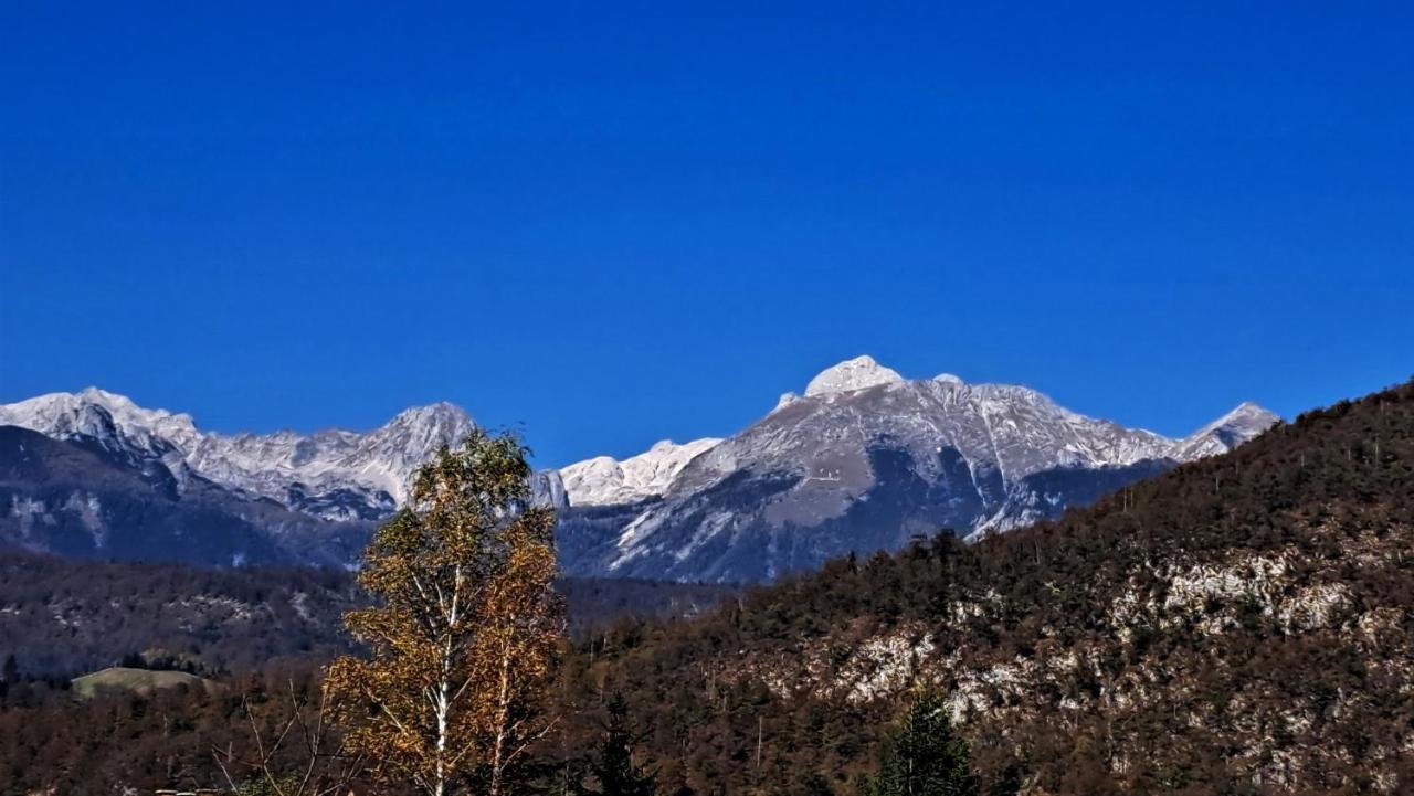 Apartmaji Alpski Cvet - Hisa Gorenc Bohinj Eksteriør bilde