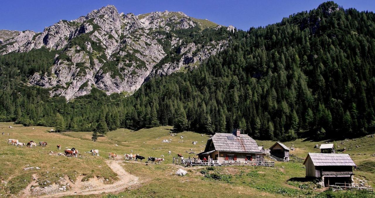 Apartmaji Alpski Cvet - Hisa Gorenc Bohinj Eksteriør bilde
