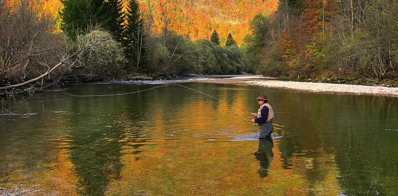 Apartmaji Alpski Cvet - Hisa Gorenc Bohinj Eksteriør bilde