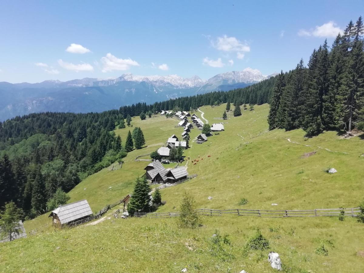 Apartmaji Alpski Cvet - Hisa Gorenc Bohinj Eksteriør bilde
